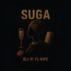 DJ R Flame - Suga