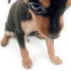 d(-.-)b