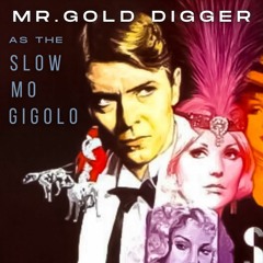 SLOW MO GIGOLO(free download)