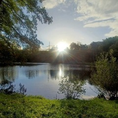 Schätz deine Oma und Opa (Creator DragxzTV Music)