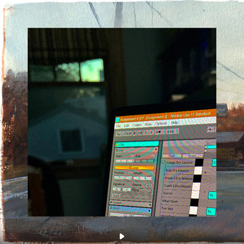 Assignment #4 - CAW - Circling Birds