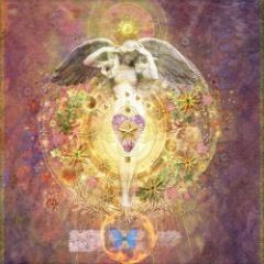 Takin A Bus To Heaven (Ableton Live Set)