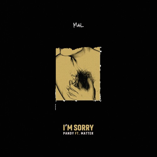 I'm sorry - Pandy & Matter