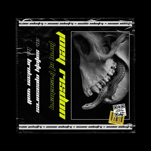 Joey Risdon - Broken Wall [II111D]
