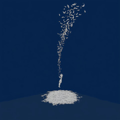 Falling Desiccant