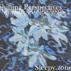 Shifting Perspectives @ sleepy.zone 4/12/2023
