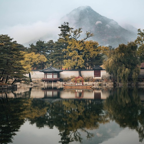 벚꽃이 피면 돌아온다 했잖소