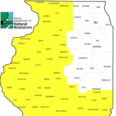 Oakford Pecans - a story of discovery and Update on Pumpkin Squash