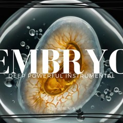 ' EMBRYO ' Deep Powerful | Guitar | Rap - RnB Instrumental