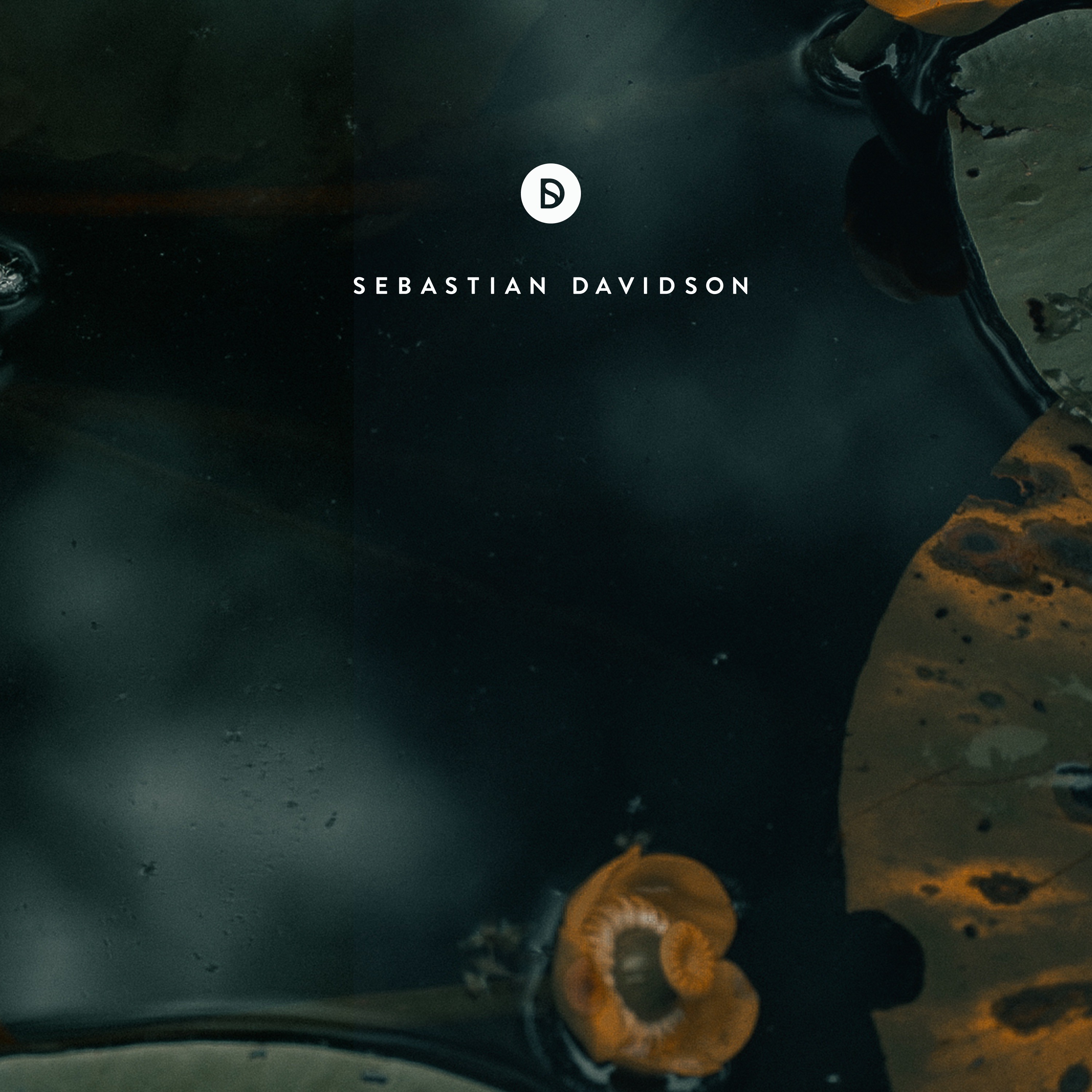Voyage of Discovery by Sebastian Davidson
