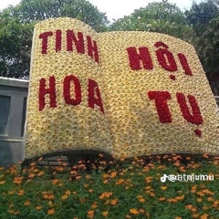 nhạc cổ đánh đổ dân chơi🫦