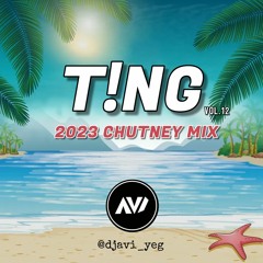 T!NG Vol. 12: 2023 CHUTNEY MIX