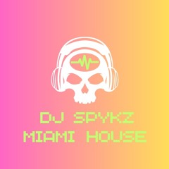 DJ SPYKZ MIAMI STYLE 2008 HOUSE MIX