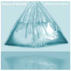 Polymers are Forever