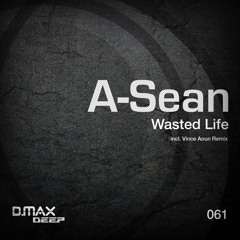 Wasted Life (Original Mix)