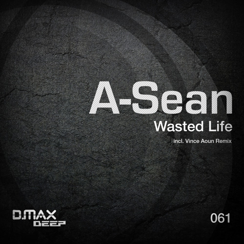 Wasted Life (Original Mix)