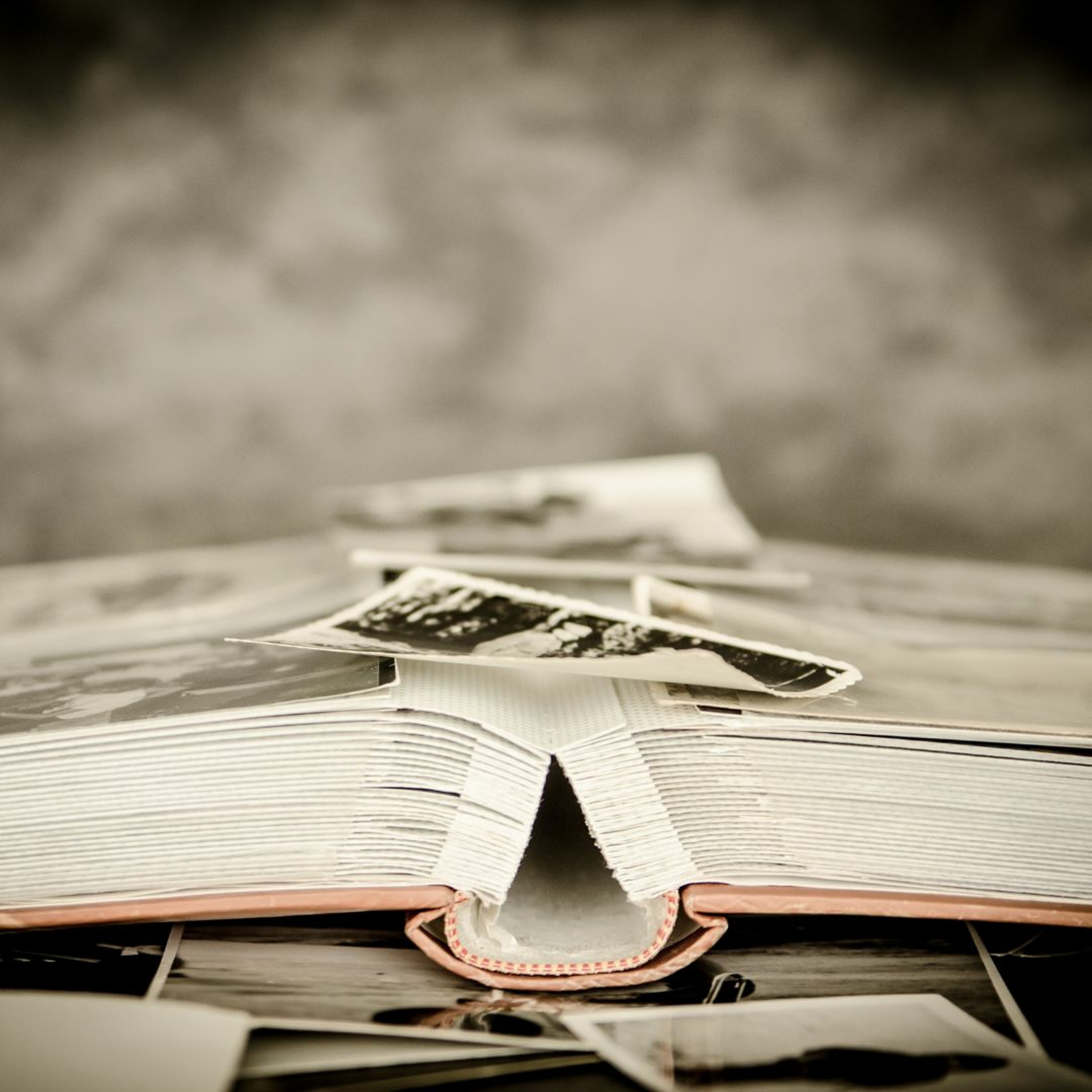 Open Book Unbound