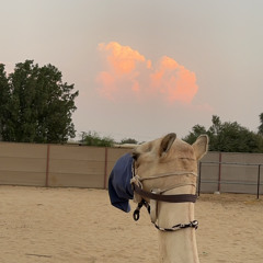 ‎⁨اسعد البطحري - لو ابعدت بطيء⁩.m4a