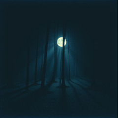Moonlit Embrace