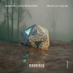 Vesim Ipek & Enes Beskardes - Never Let You Go