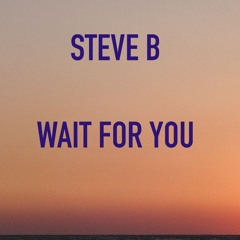 Wait For You- Steve B