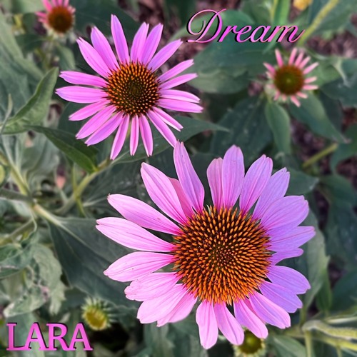 Stream Dream by LARA | Listen online for free on SoundCloud Dream
