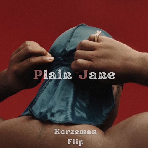 Plain Jane (Horzeman Flip)