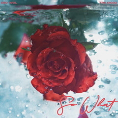 Tre Diggz x CEO WOL - So What