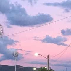 waiter mind - CHILL LOFI