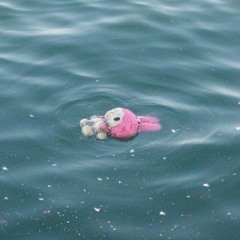 숙희에게 Letter (Feat. Sawol Kim)