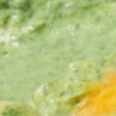 BFTP --- Grüne Soße_deep down mix--- (rec. date unknown)