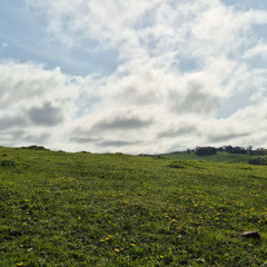 on a hill -Part III