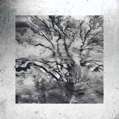 Indefinite Pitch PREMIERES. Tsimtsum - Ark [GSXS]