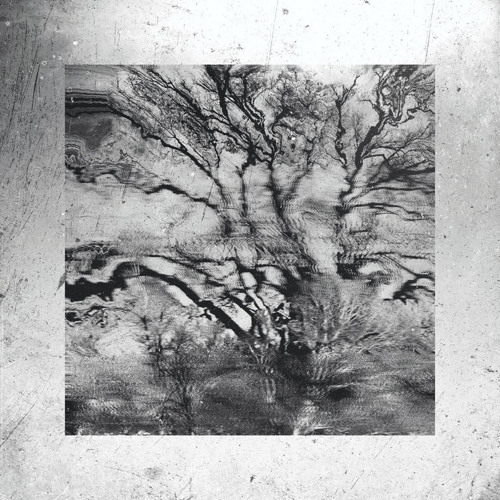 Indefinite Pitch PREMIERES. Tsimtsum - Ark [GSXS]