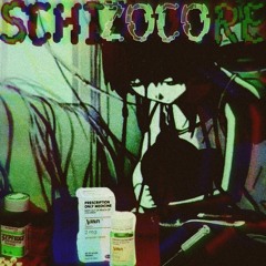SCHIzocoRE