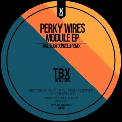 Perky Wires - Module (Luca Donzelli Remix)