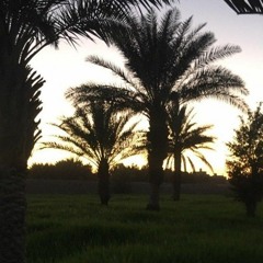 أشهد ياليل -غزل غريب