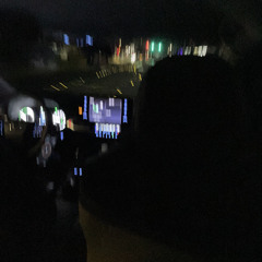 tipekis tipemong (kohenny x suavo)