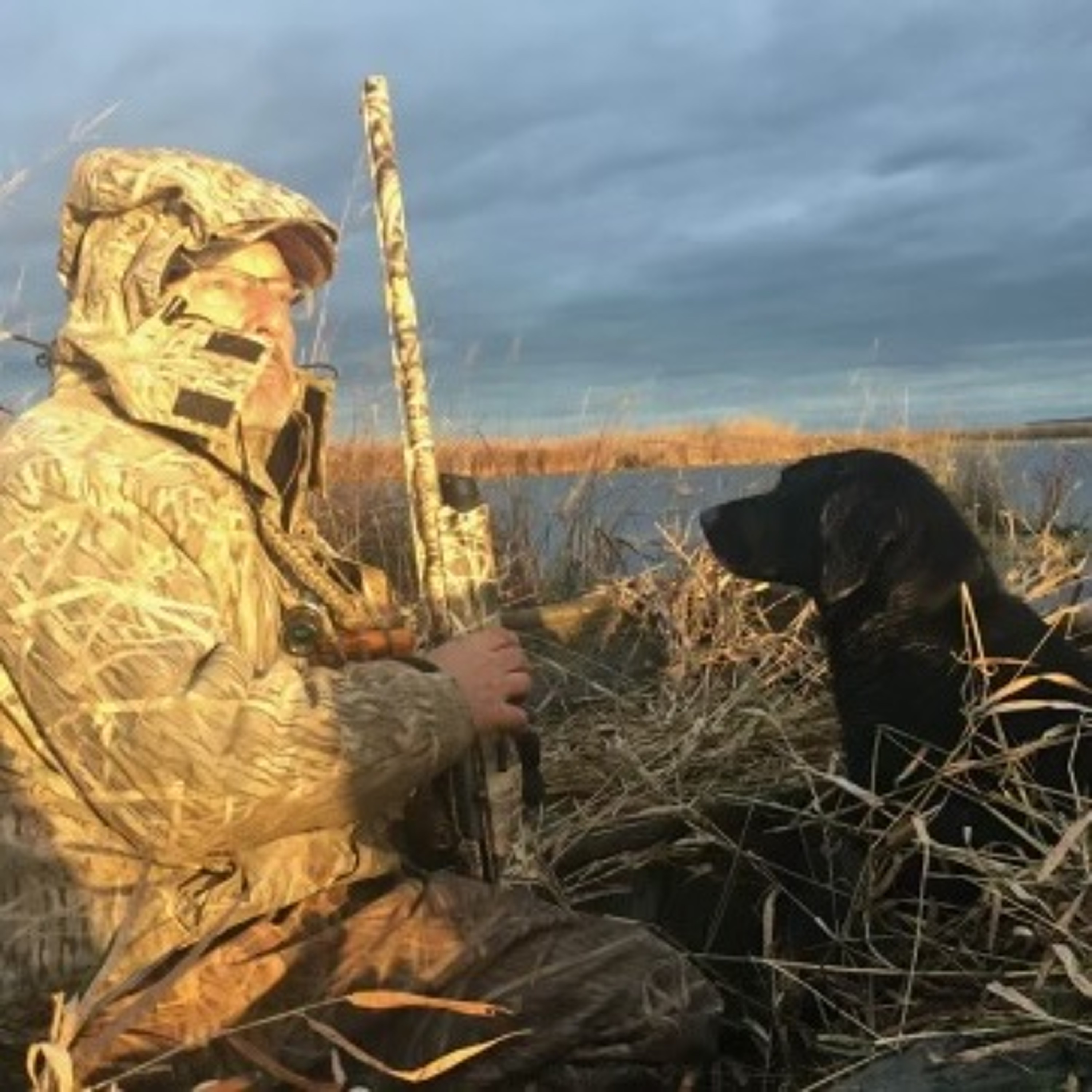 The Fowl Life