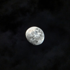 STG Records | Future Type Beat - I Promise | 120 BPM