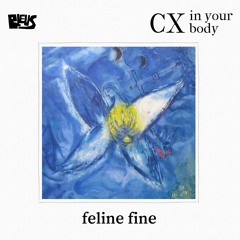 CX - feline fine