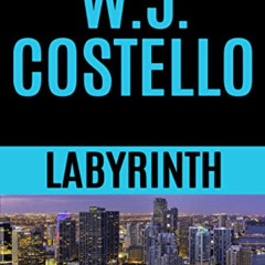 [Download] EPUB 📨 Labyrinth (DSA Miami Book 1) by  W.J. Costello EPUB KINDLE PDF EBO