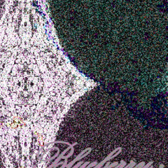 Labrat Nomad - Blueberry Faygo 6