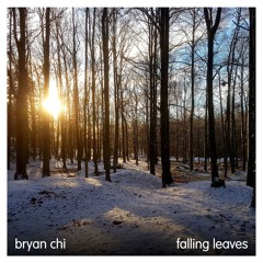 Bryan Chi - Terraces Above Clouds