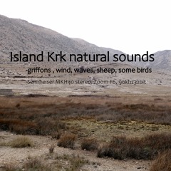 Island Krk nature sounds - wind and euroasian griffons - sheep seagull near sea calming ambient