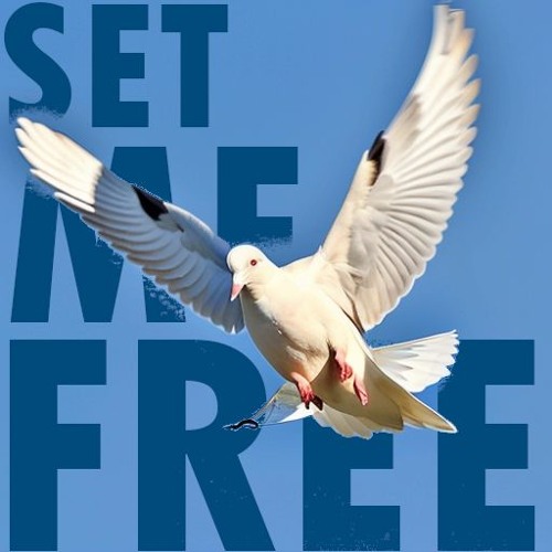 Set Me Free