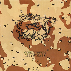 Iraqi Soldier In Kuwaiti Sand