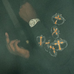 ON ZAP - NoMo