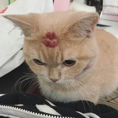 Вся музыка