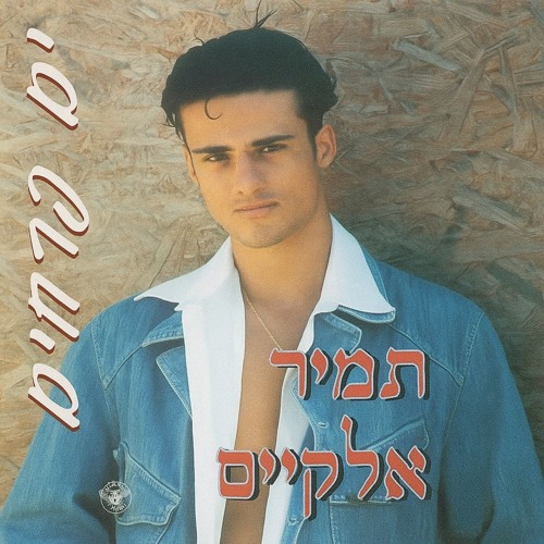משימה אפשרית